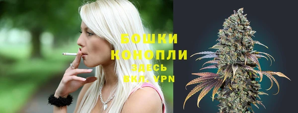дурь Верея