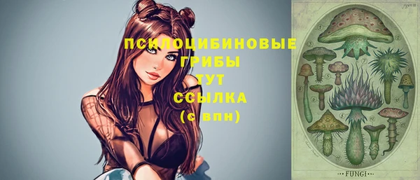 хмурый Верхний Тагил